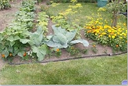 Gartenimpressionen: Installation und Test des Kleingarten-Bewässerungs-Sets,6