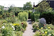 Gartenimpressionen: Installation und Test des Kleingarten-Bewässerungs-Sets,Gartenweg
