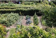Gartenimpressionen: Installation und Test des Kleingarten-Bewässerungs-Sets im Gemuesebeet