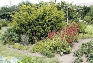 Gartenimpressionen: Installation und Test des Kleingarten-Bewässerungs-Sets in Blumen- und Gemuesebeeten